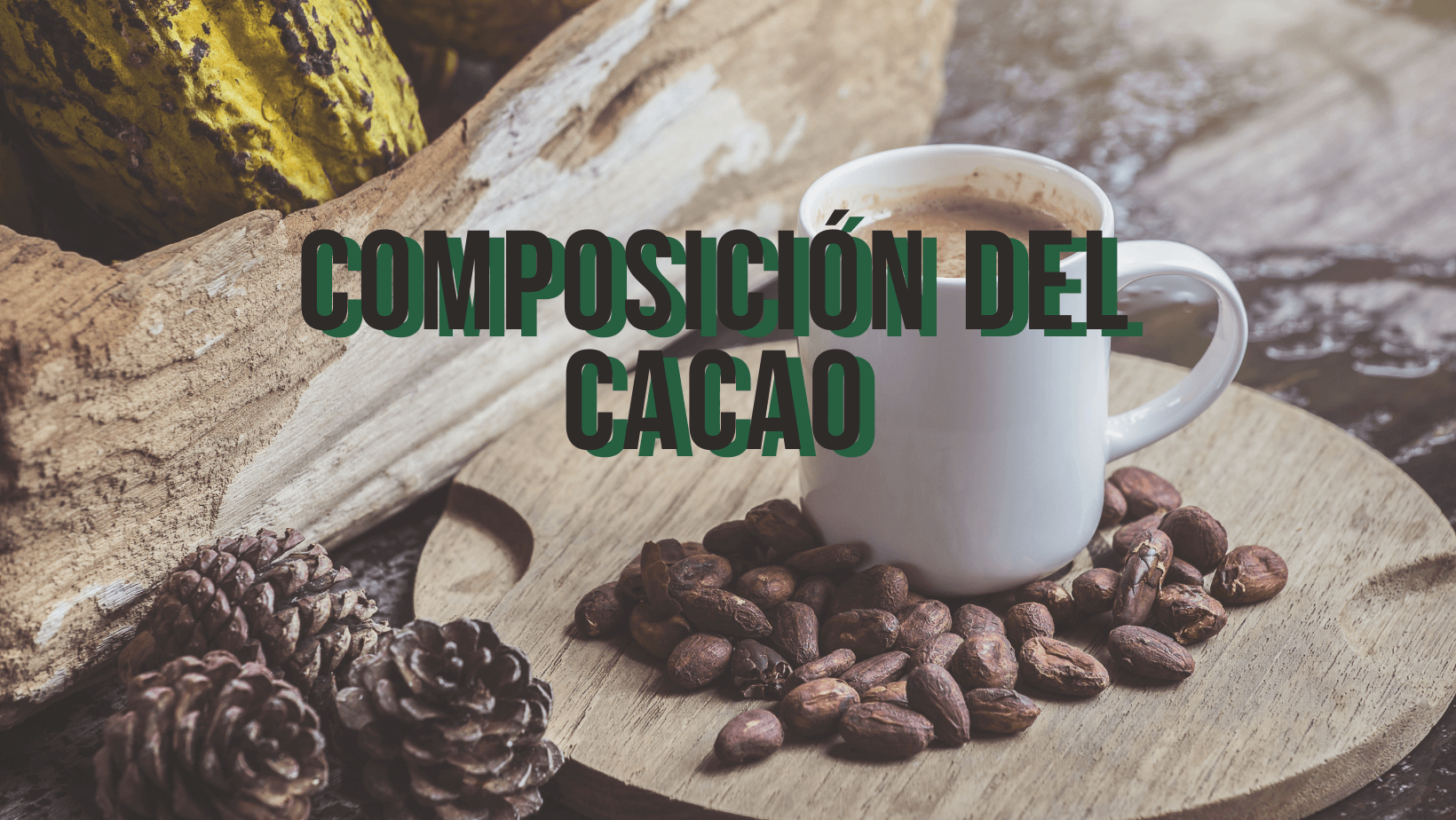 En este momento estás viendo Composición del cacao